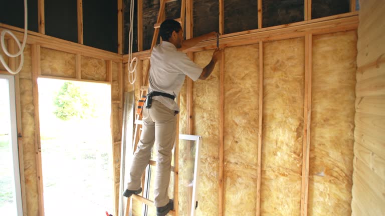 Best Insulation for New Construction  in Sidney, MT