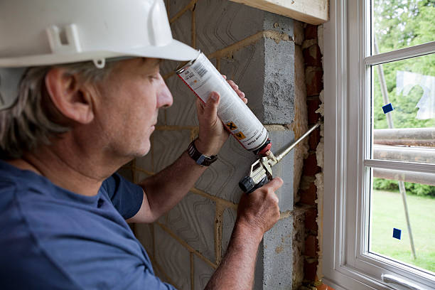 Best Attic Insulation Installation  in Sidney, MT